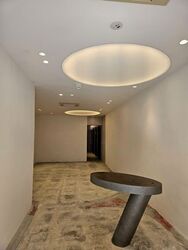 Telok Ayer Conservation Area (D1), Shop House #577060041